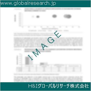 グローバルリサーチ調査資料のイメージ